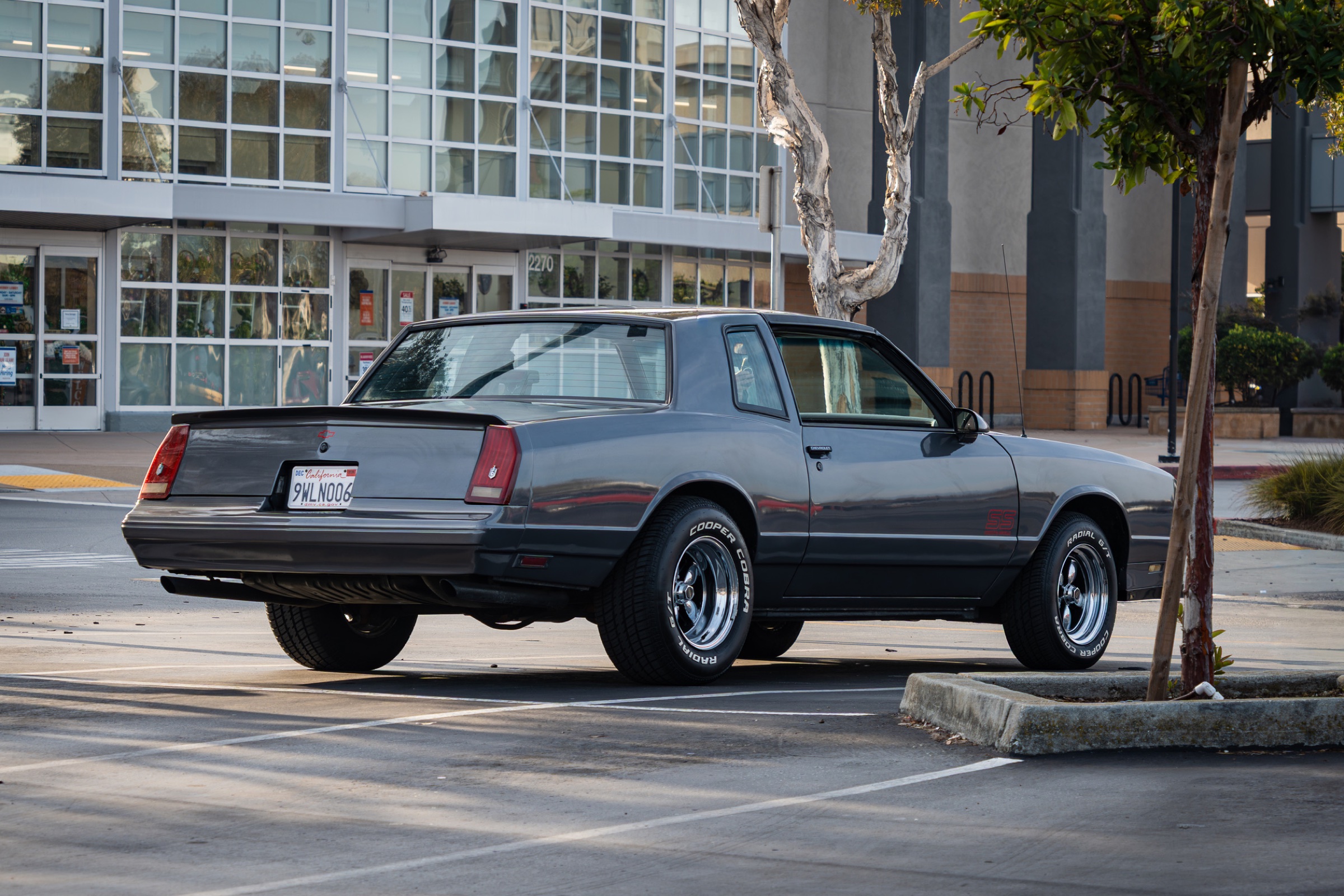 Monte Carlo SS