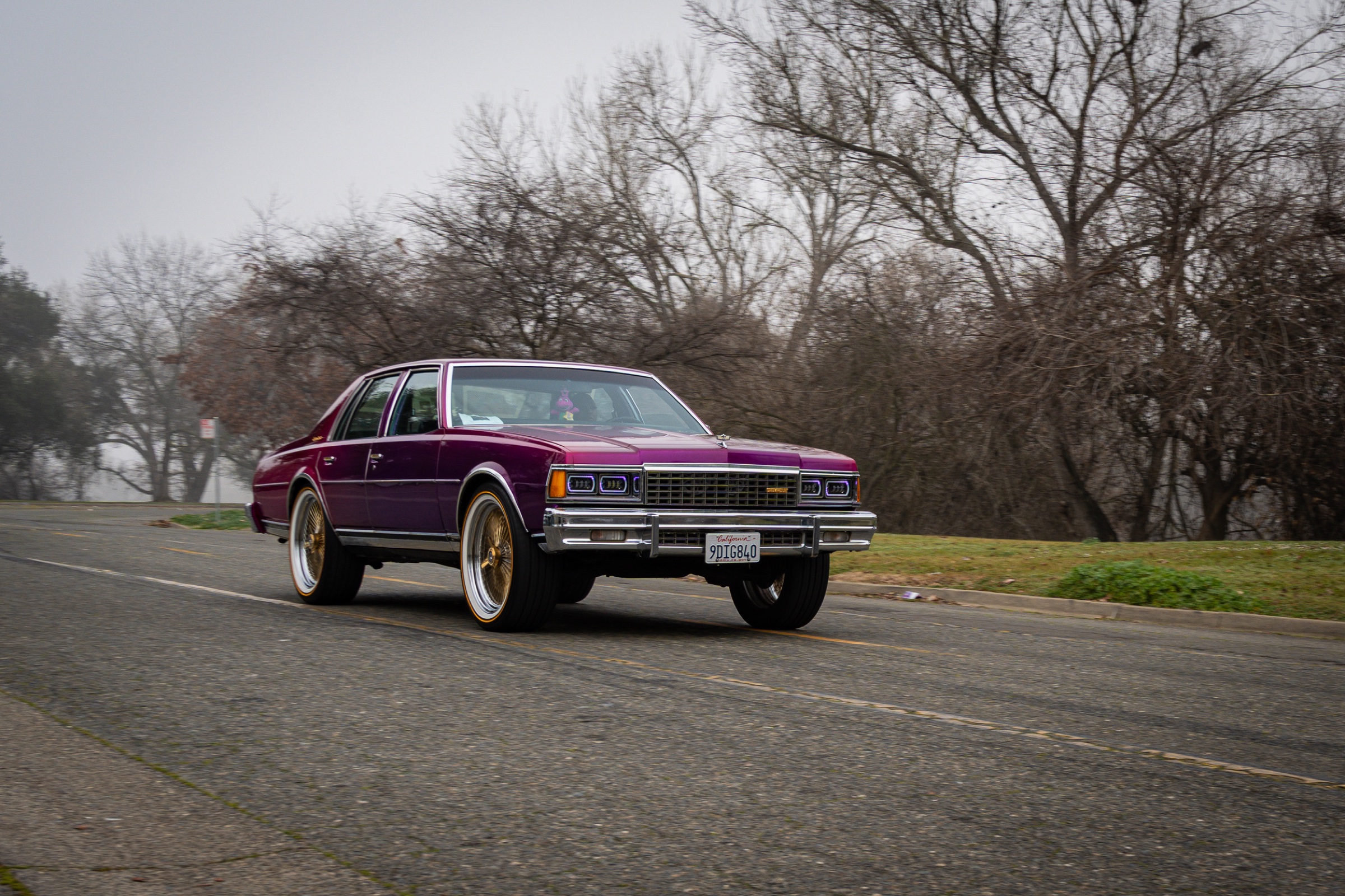 Purple Caprice misty road
