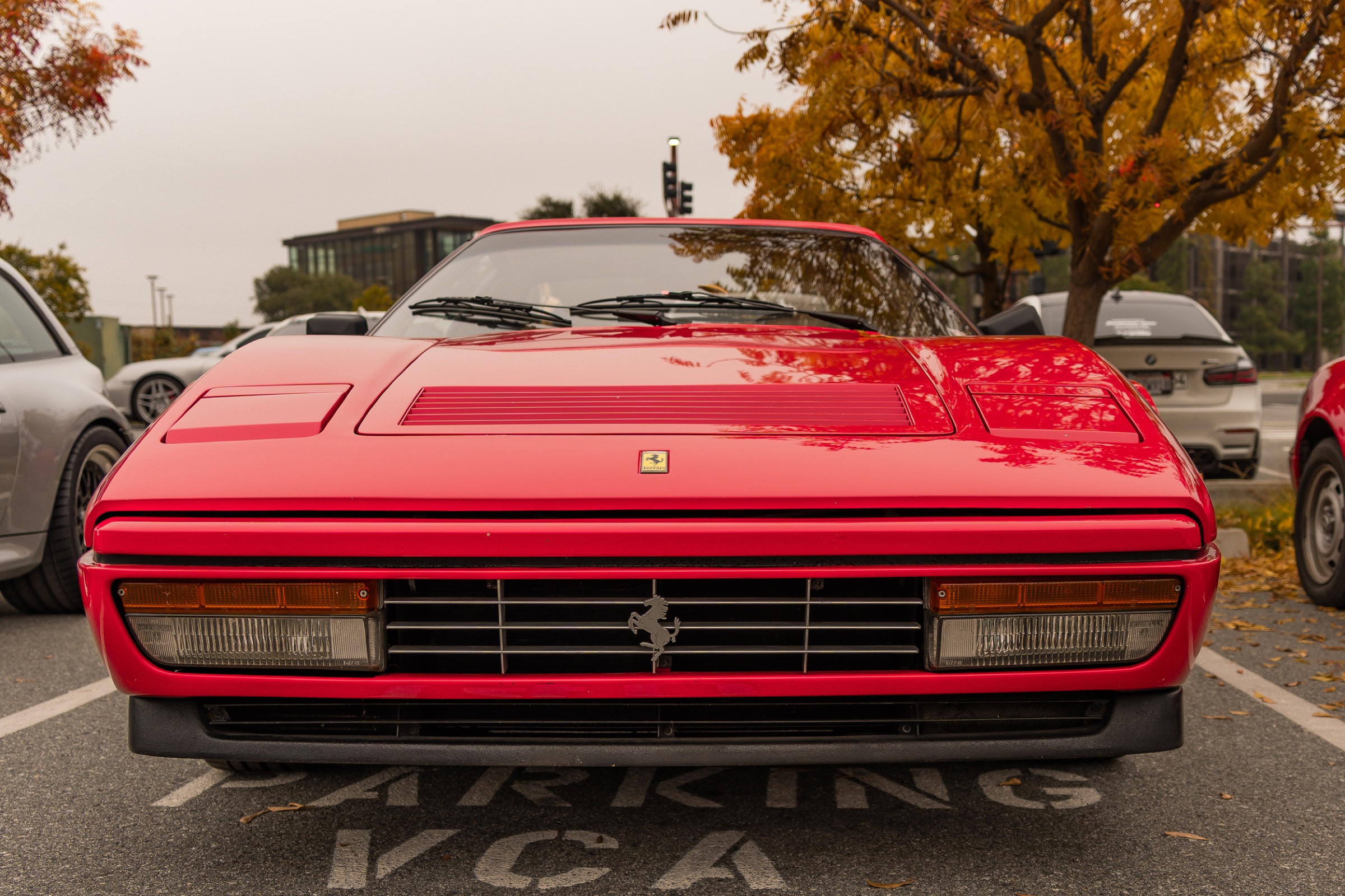Red Ferrari 328 fall leaves