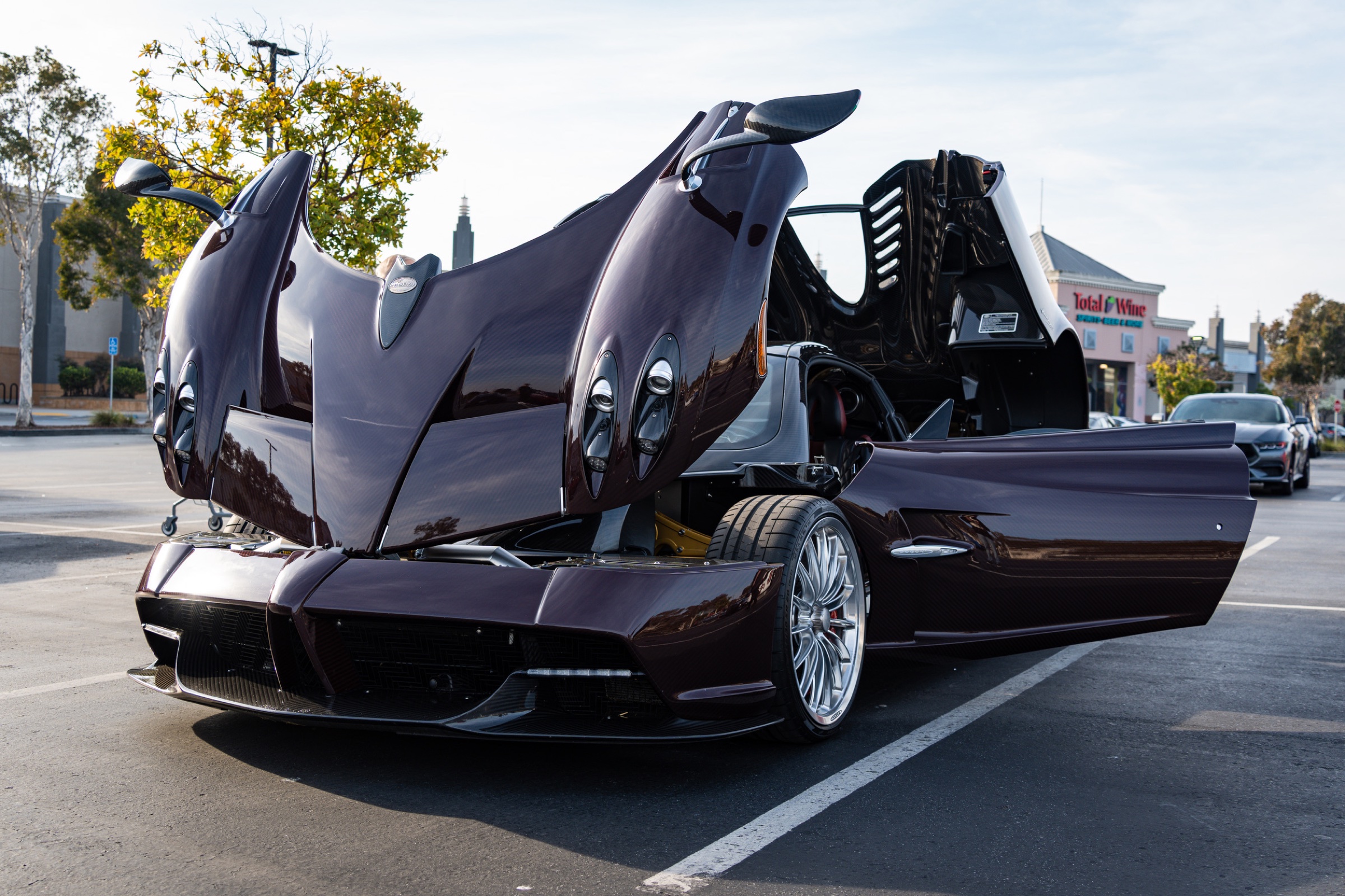 Bay Area Exotic Meet